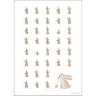 Poster A3 - Baby Bunny