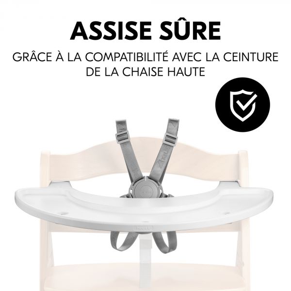 Plateau + Jeu pour plateau de chaise haute Alpha table d'activité musicale Zebra