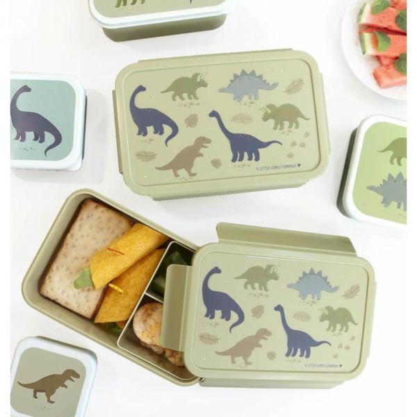 Lunch box dinosaures