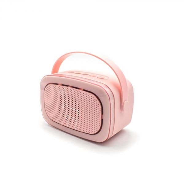 Boîte Karaoke duo enceinte et micro rose